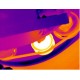 Camera termografica tip E8-TN